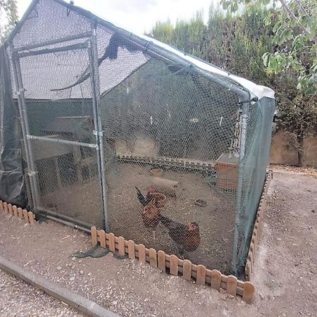 Casita De Invitados En Otura Eksteriør bilde